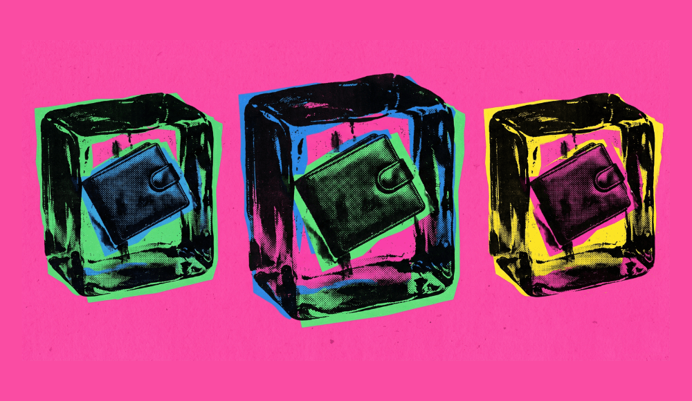 Wallets frozen in the middle of ice cubes